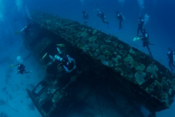 Diving